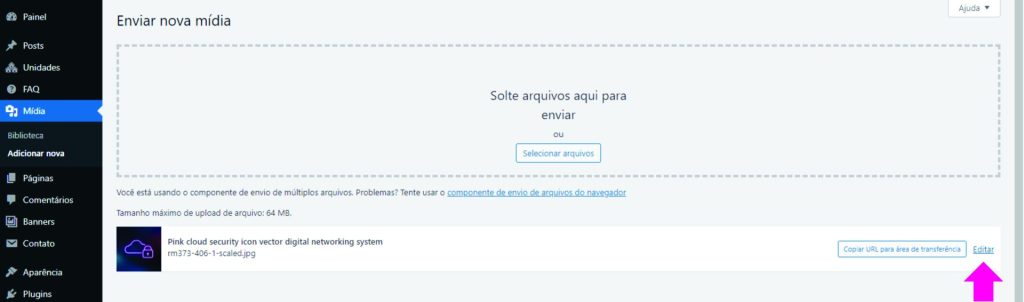 Print do upload de imagens da biblioteca de mídia do painel wordpress.
